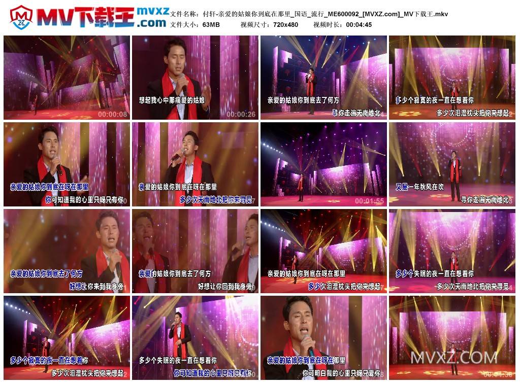 付轩-亲爱的姑娘你到底在那里_国语_流行_ME600092